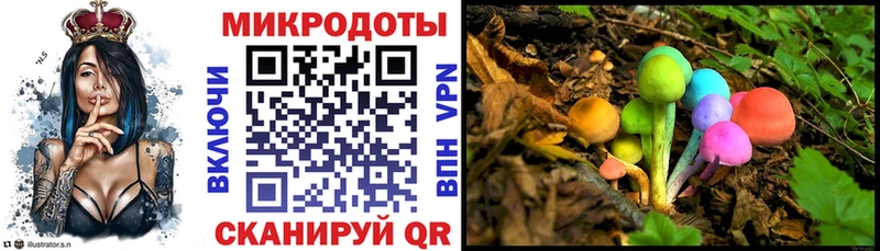 Галлюциногенные грибы GOLDEN TEACHER Галич